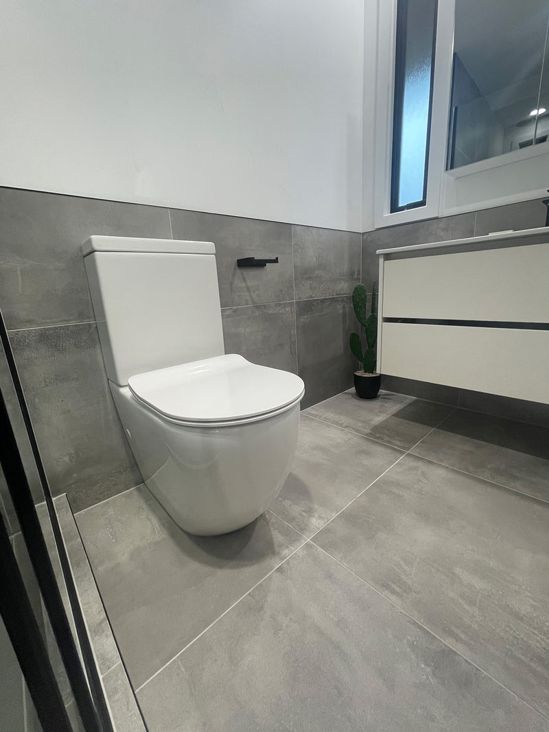 Duet Back to Wall Toilet