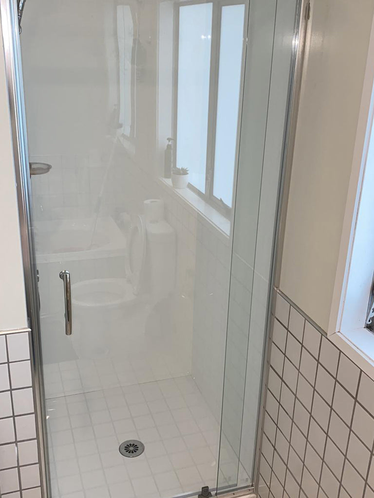 Framed Alcove Shower Pivot Door